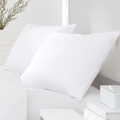 Queen Street Excellence Sham Stuffer