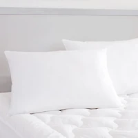 Queen Street Excellence Sham Stuffer