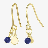 Silver Treasures 14K Gold Over Round Drop Earrings