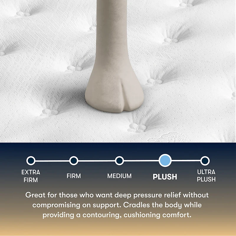 The Serta Perfect Sleeper Mondale 13.5" Plush Tight Top - Mattress Only