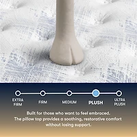 The Serta Perfect Sleeper Autumndale 15" Plush Pillow Top - Mattress Only