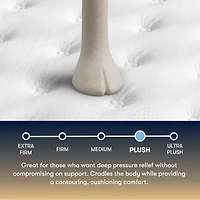The Serta Perfect Sleeper Beechdale 12.5" Plush Tight Top