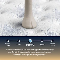 The Serta Perfect Sleeper Autumndale 14" Medium Tight Top - Mattress Only