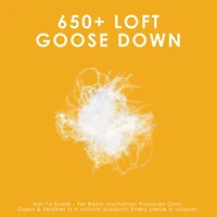Canadian Down & Feather Company 650 Loft Goose Comforter - Regular Weight