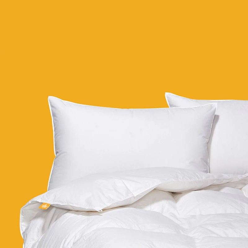 Canadian Down & Feather Company 650 Loft Goose Comforter - Regular Weight