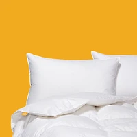 Canadian Down & Feather Company 650 Loft Goose Comforter - Regular Weight