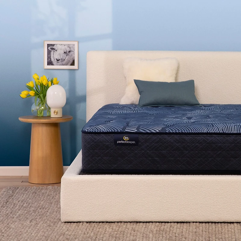 Serta Perfect Sleeper Cobalt Calm 13.25" Plush Tight Top