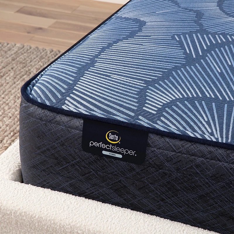 Serta Perfect Sleeper Euphoric Nights 14" Hybrid Plush