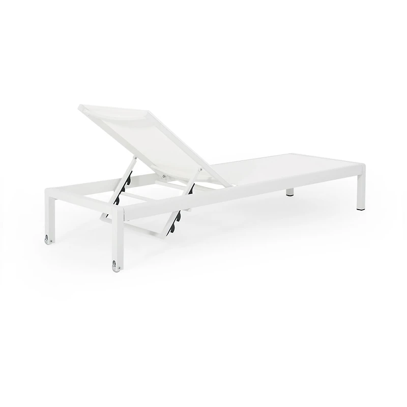 Cape Coral Lounge Chair