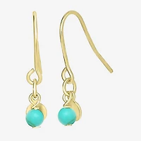 Silver Treasures 14K Gold Over Silver Round Drop Earrings