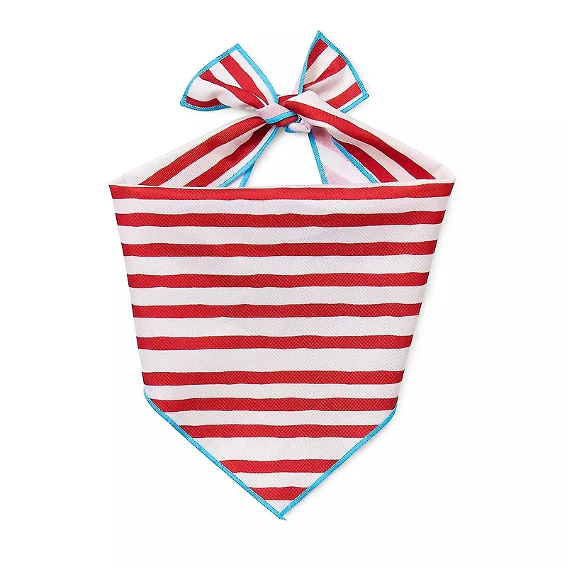 Paw & Tail Striped Dog Bandana & Bow Set