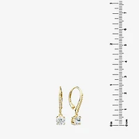 Silver Treasures Womens Cubic Zirconia 14K Gold Over Silver Drop Earrings