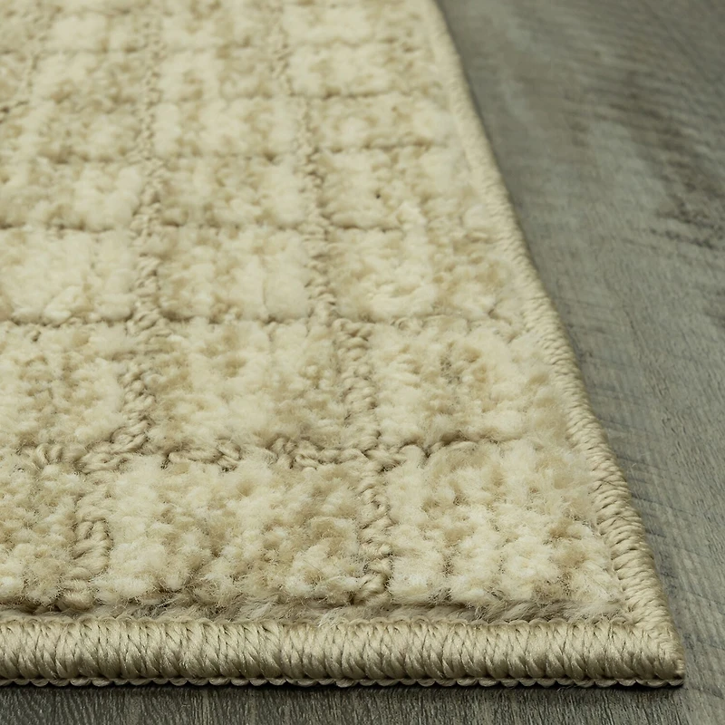 Maples Grid Indoor Rectangular Accent Rug