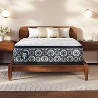 The Serta Perfect Sleeper Mondale 14" Plush Pillow Top