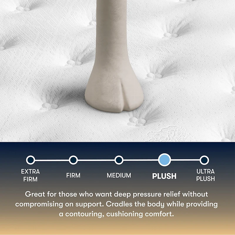 The Serta Perfect Sleeper Beechdale 12.5" Plush Tight Top - Mattress + Adjustable Base