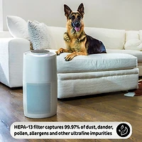 Instant® AP300 Home Purification System