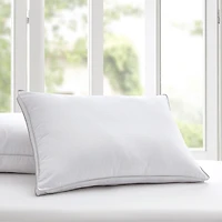 Claritin Allergen Barrier Medium/Firm Density Pillow
