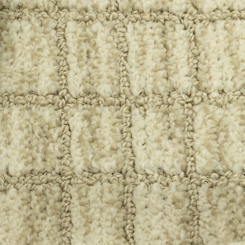Maples Grid Indoor Rectangular Accent Rug