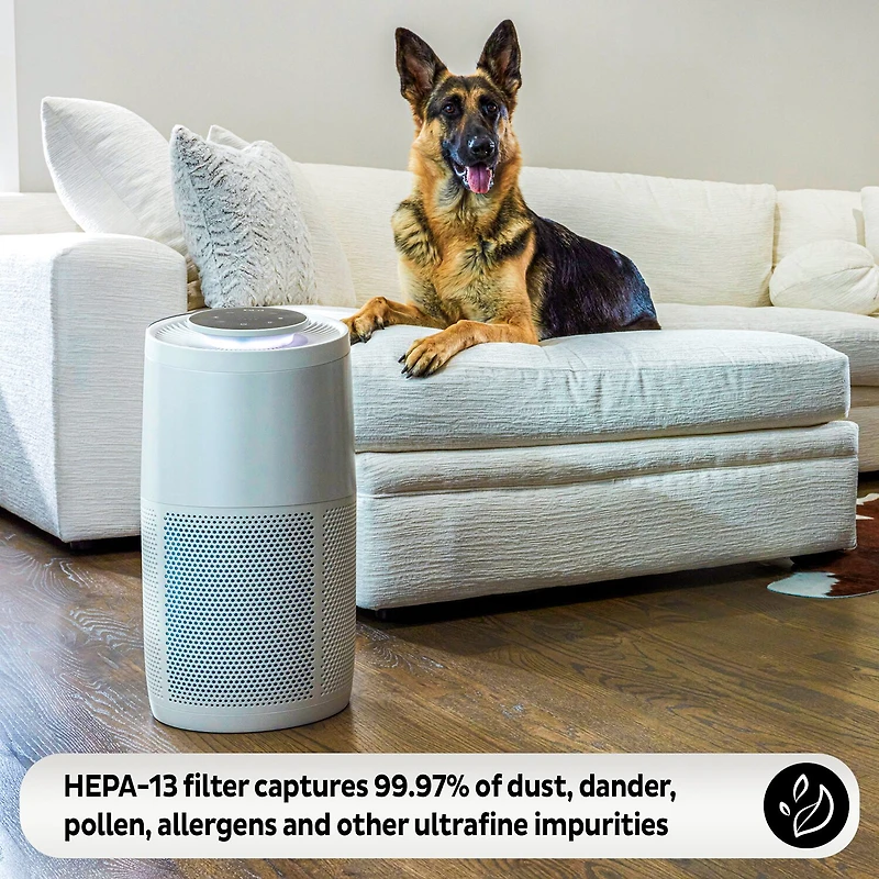 Instant® AP300 Home Purification System