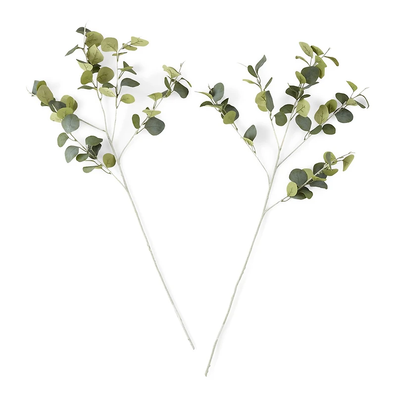 Linden Street 36" Eucalyptus Stem 2-pc. Vase Filler