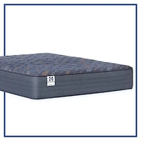 Sealy Special Edition Warner 12" Firm Tight Top - Mattress Only