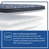 Sealy Special Edition Warner 12" Plush Pillow Top - Mattress Only