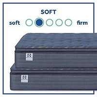 Sealy Special Edition Warner 12" Plush Pillow Top - Mattress + Box Spring