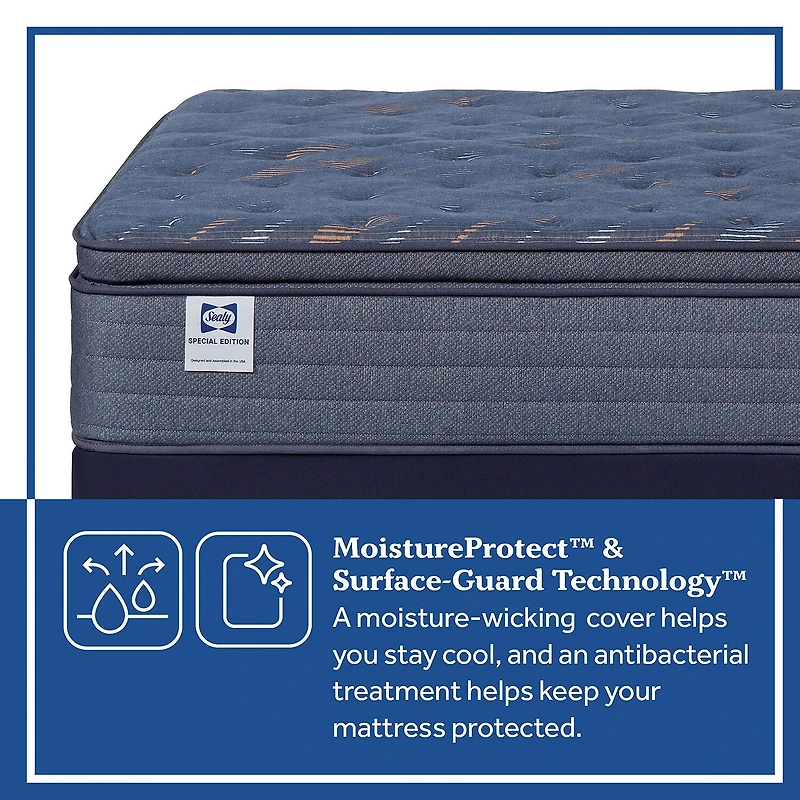 Sealy Special Edition Warner 12" Plush Pillow Top - Mattress + Box Spring
