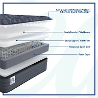 Sealy Special Edition Warner 12" Firm Tight Top - Mattress + Box Spring