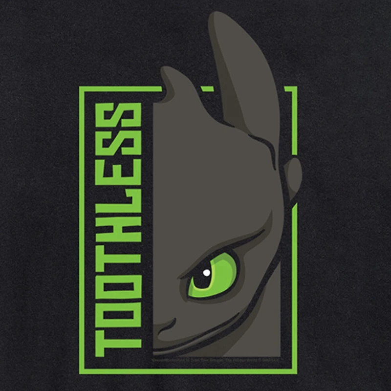 Mens Short Sleeve How To Train Your Dragon Graphic T-Shirt