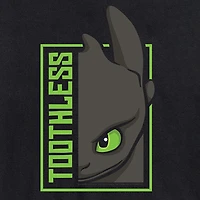 Mens Short Sleeve How To Train Your Dragon Graphic T-Shirt