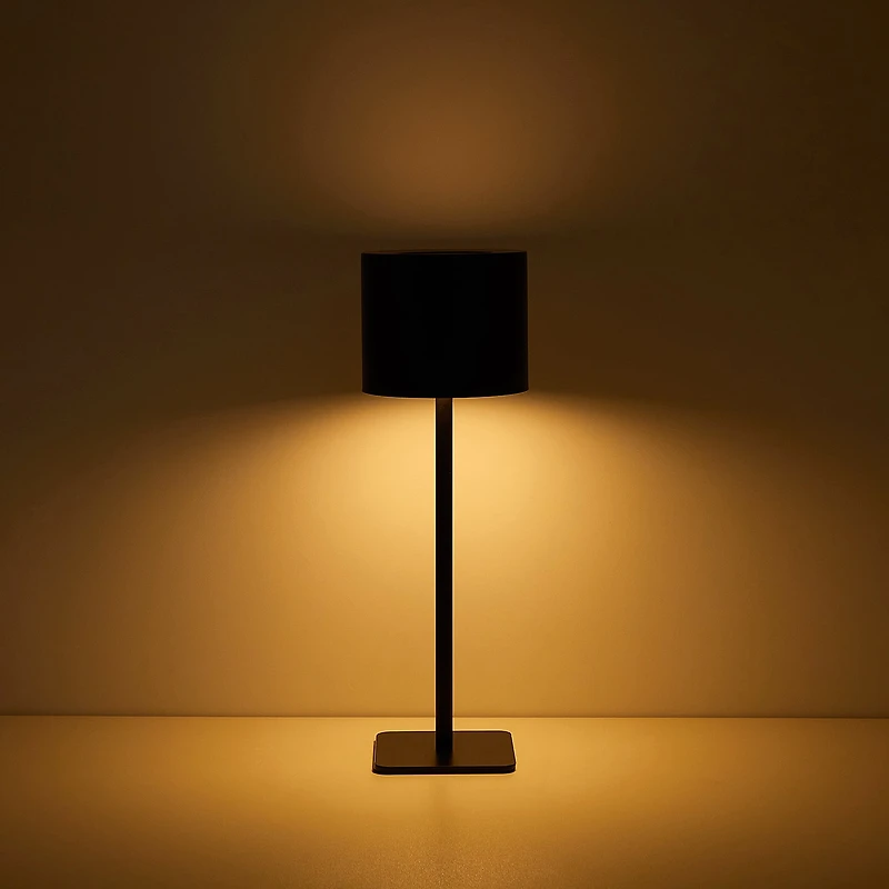 AEROPOSTALE Black Stainless Steel Table Lamp