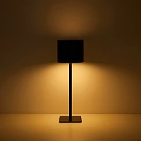 AEROPOSTALE Black Stainless Steel Table Lamp