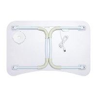 AEROPOSTALE Oak Lap Desk