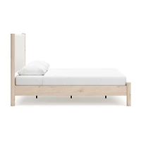 Signature Design by Ashley Canon Upholstered Panel Bed