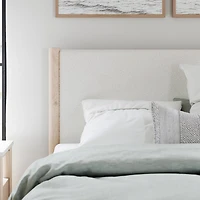 Signature Design by Ashley Canon Upholstered Panel Bed