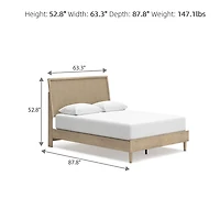 Signature Design by Ashley Colorado Panel Bed