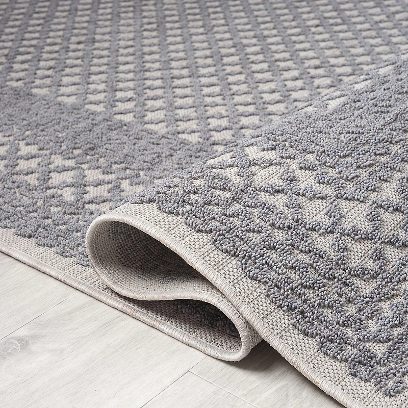Winona Lightly Bordered PET Yarn Indoor Outdoor Rectangular Area Rug
