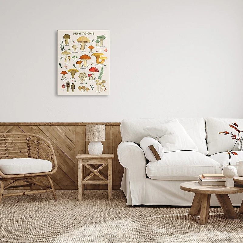 Stupell Industries Foraging Mushrooms Studies Canvas Art