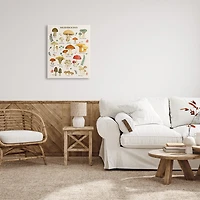 Stupell Industries Foraging Mushrooms Studies Canvas Art