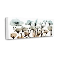 Stupell Industries Mixed X-Ray Flowers Canvas Art