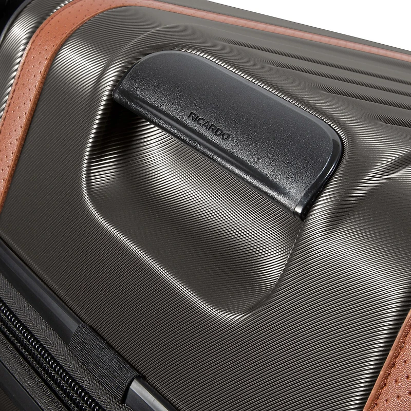 Ricardo Beverly Hills Montecito 2.0 29 Inch Hardside Checked Spinner Luggage