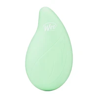 The Wet Brush Go Green Oil Infused Palm Detangler