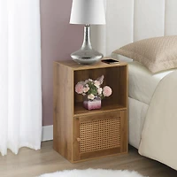 Convenience Concepts Wooden 24 In Accent Cabinet