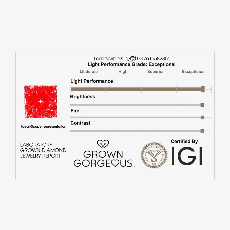 Grown Gorgeous (F