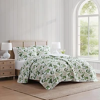 Martha Stewart Hydrangea Floral Easy Care Quilt Set