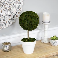 Northlight 16" Moss Ball Potted Tree Artificial Plant