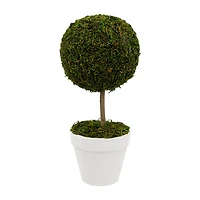 Northlight 16" Moss Ball Potted Tree Artificial Plant