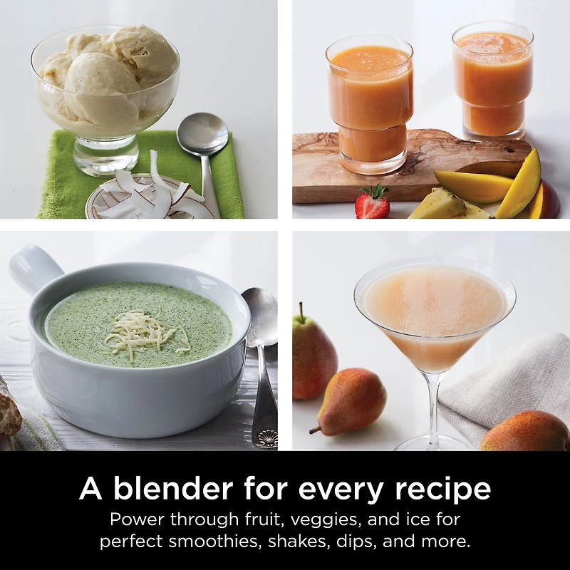 Ninja® Professional Blender 1000W BL610