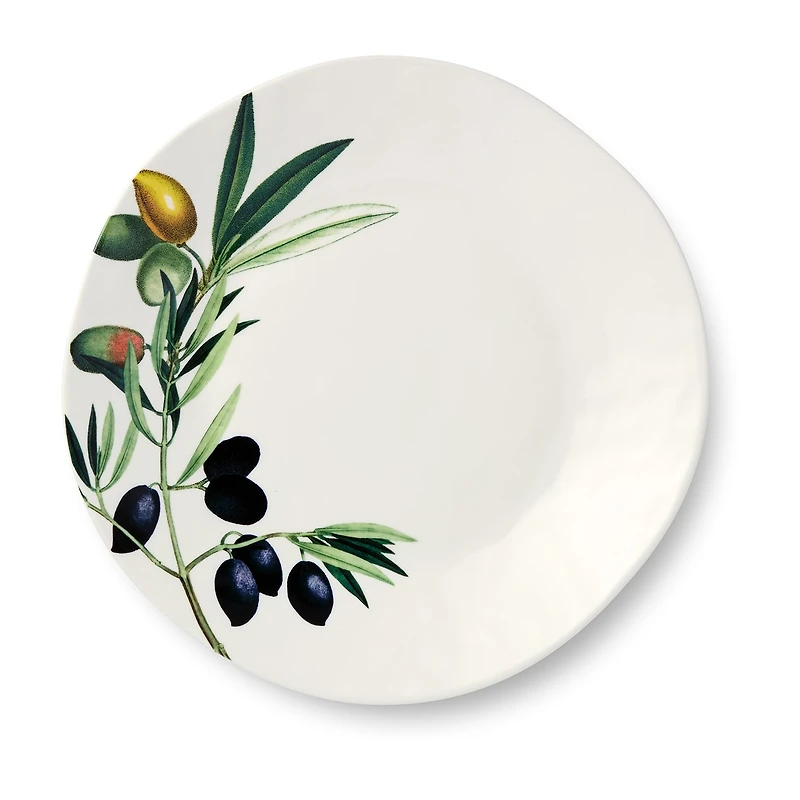 Certified International Oliva 4-pc. Stoneware Dinner Plate